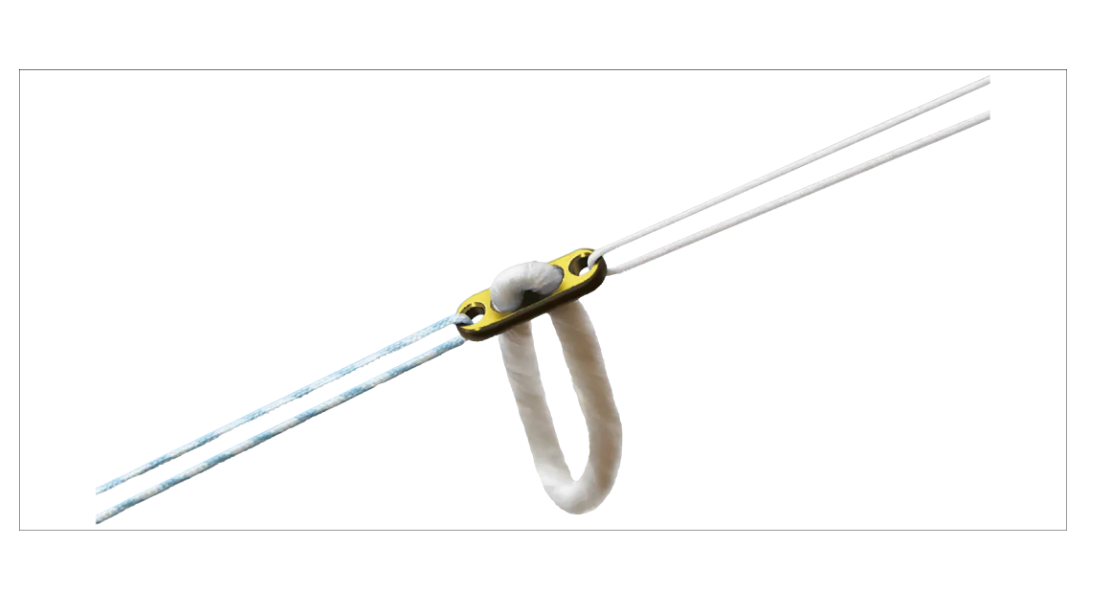 View title EWS Early Warning Score